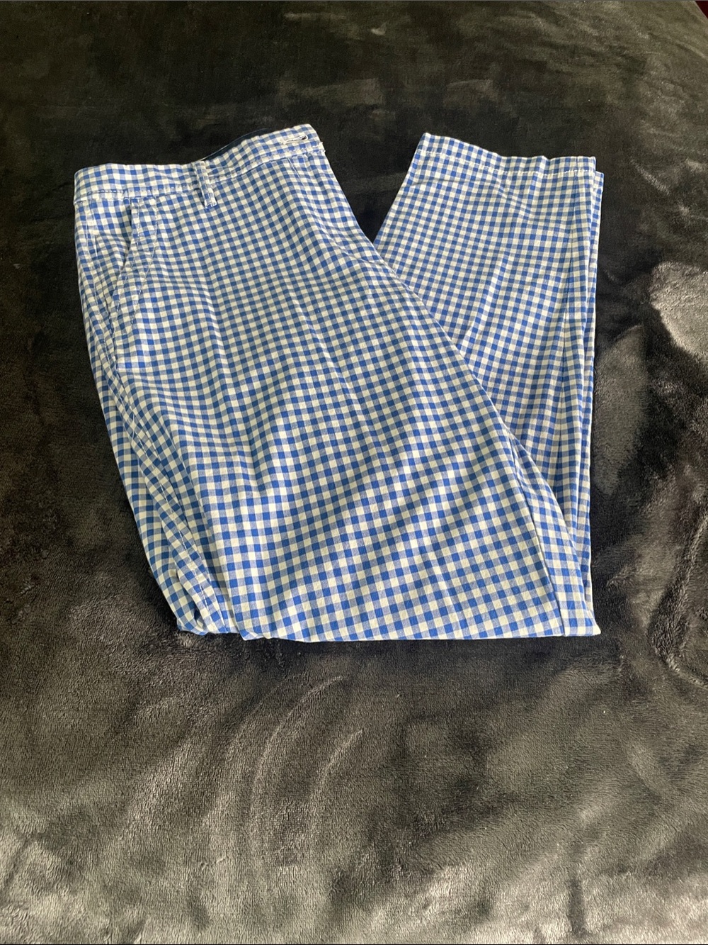 Talbots Blue and White Gingham Pants
